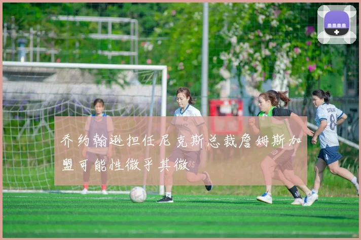 乔约翰逊担任尼克斯总裁詹姆斯加盟可能性微乎其微